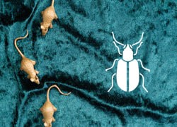 Rat and Insect Traps 1